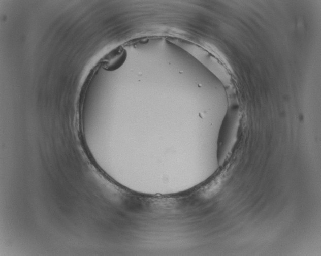 X0000077291136200611101336