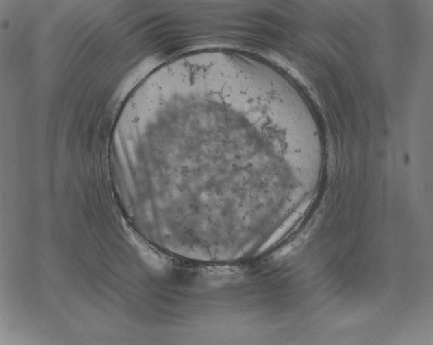 X0000077291137200611101336