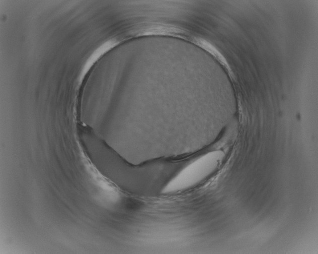 X0000077291138200611101336