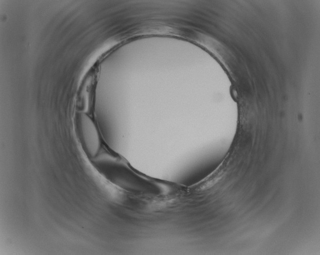 X0000077291139200611101336