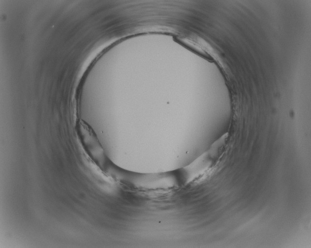 X0000077291140200611101336