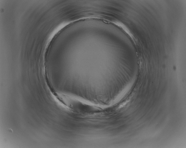 X0000077291143200611101336