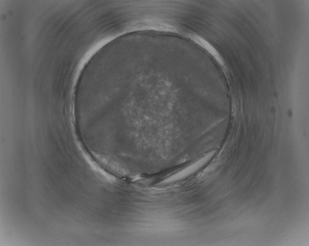 X0000077291144200611101336