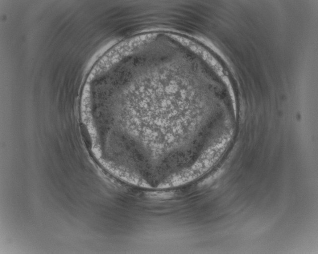 X0000077291145200611101336