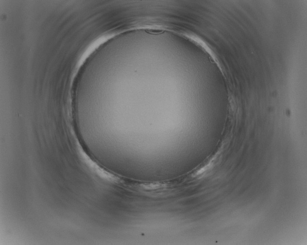 X0000077291147200611101336