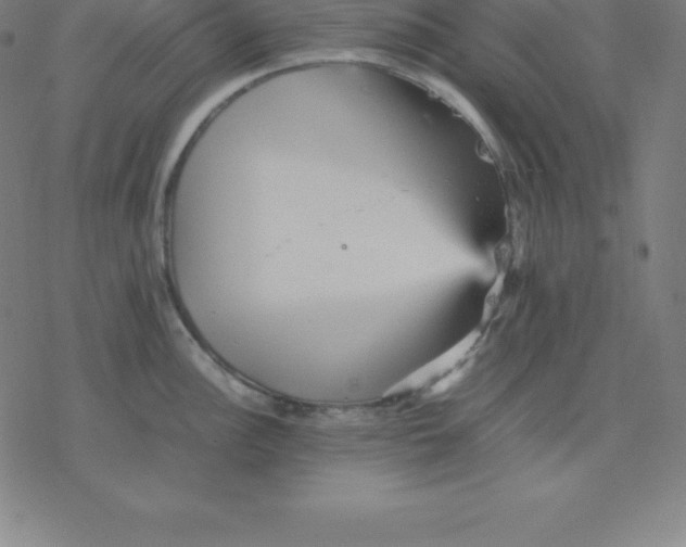 X0000077291148200611101336