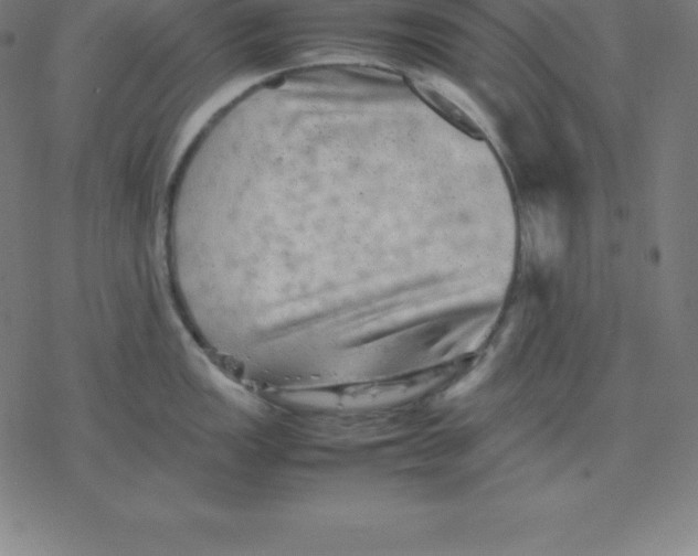 X0000077291149200611101336