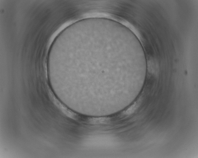 X0000077291150200611101336