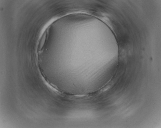 X0000077291151200611101336