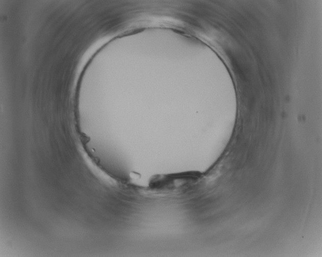 X0000077291152200611101336