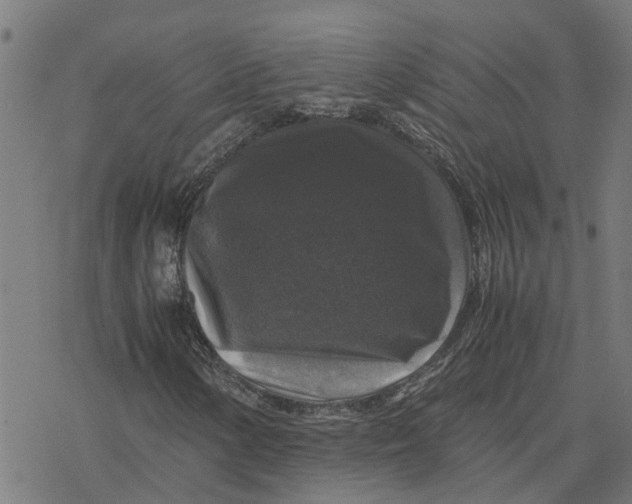 X0000077291154200611101336