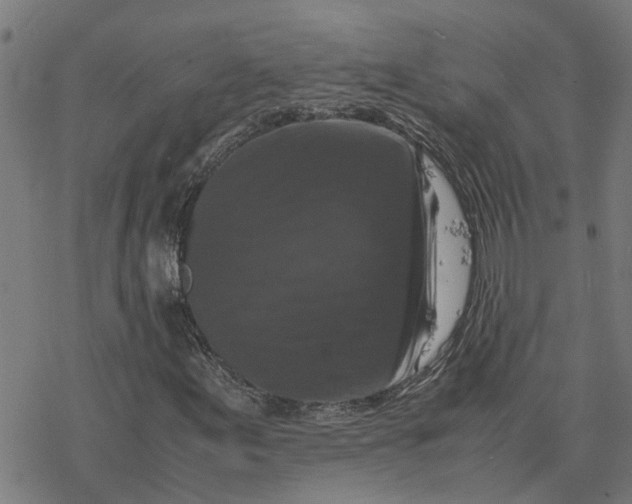 X0000077291155200611101336