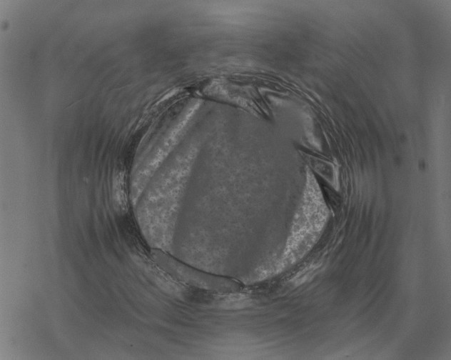 X0000077291156200611101336