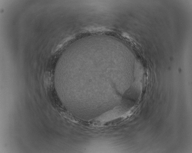 X0000077291157200611101336