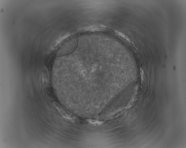 X0000077291158200611101336