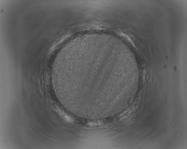 X0000077291159200611101336