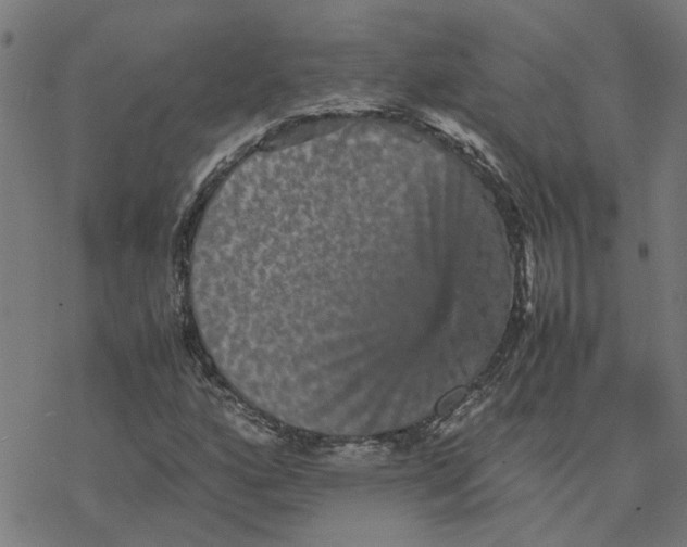 X0000077291160200611101336