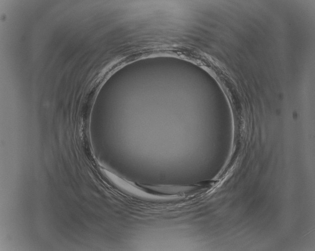 X0000077291161200611101336