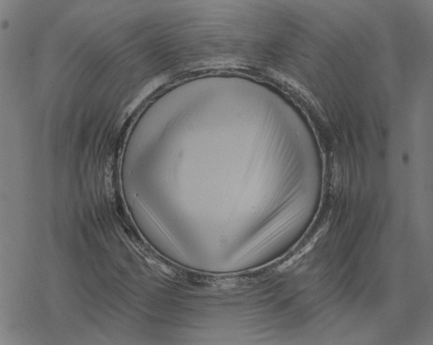 X0000077291162200611101335