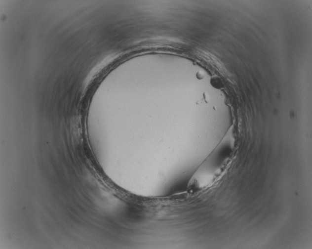 X0000077291164200611101335