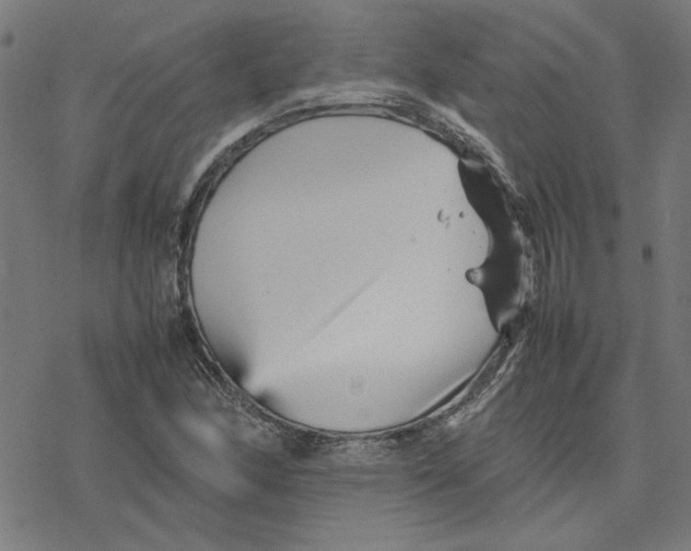 X0000077291166200611101335