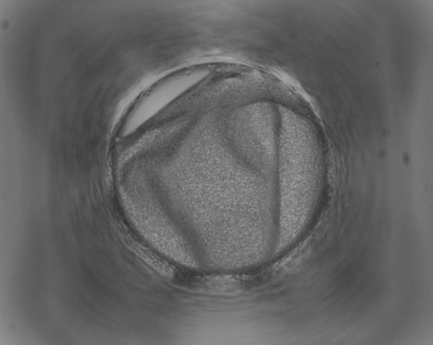 X0000077291167200611101335