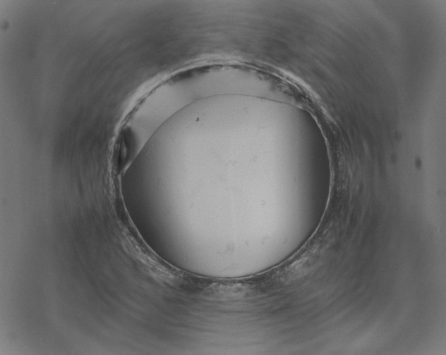 X0000077291168200611101335