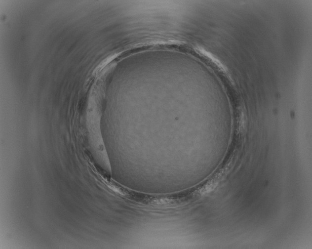 X0000077291169200611101335