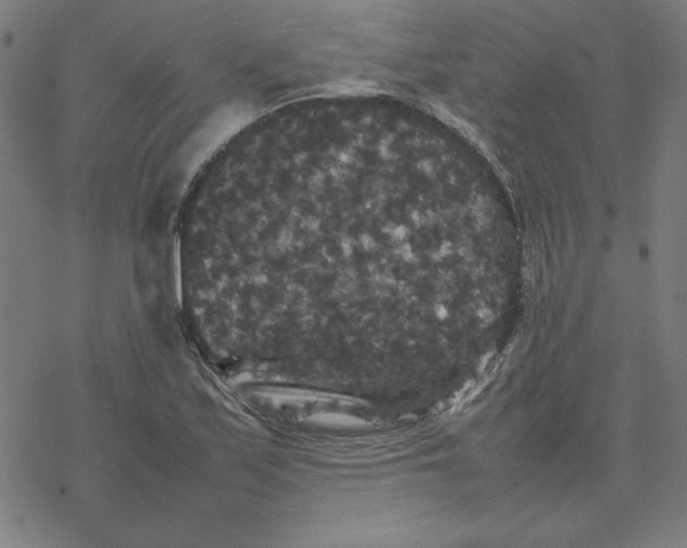 X0000077291171200611101335