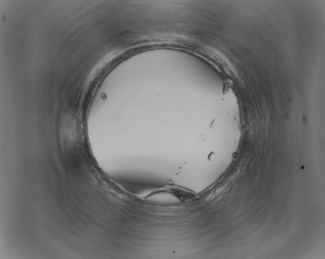 X0000077291172200611101335