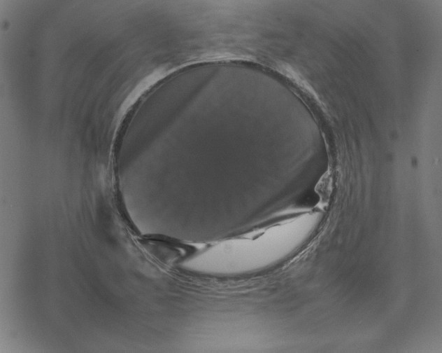 X0000077291173200611101335