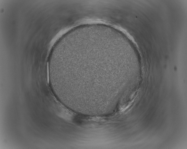 X0000077291175200611101335