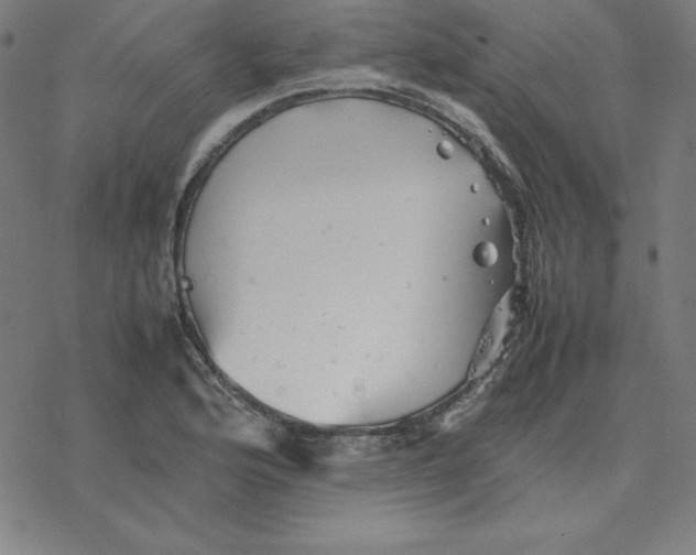 X0000077291176200611101335