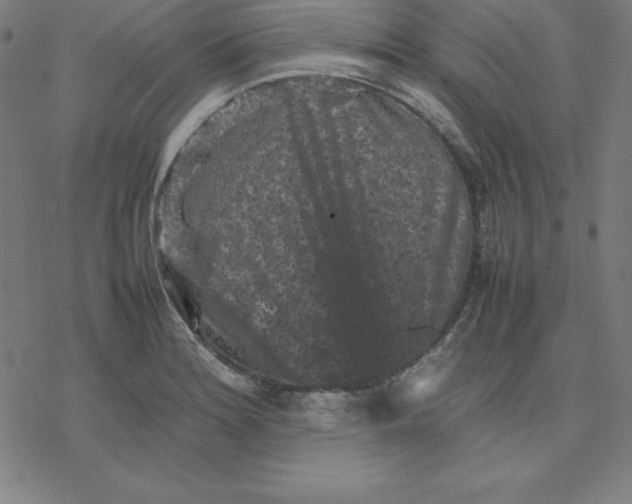 X0000077291180200611101335