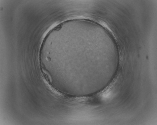 X0000077291181200611101335