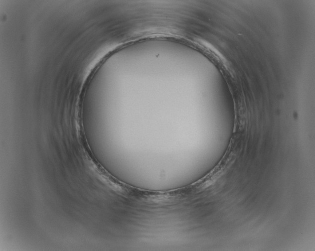 X0000077291182200611101335