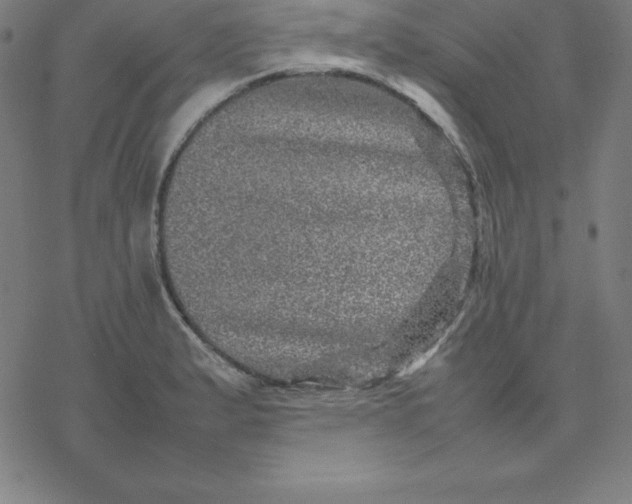 X0000077291183200611101335