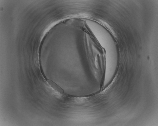 X0000077291184200611101335