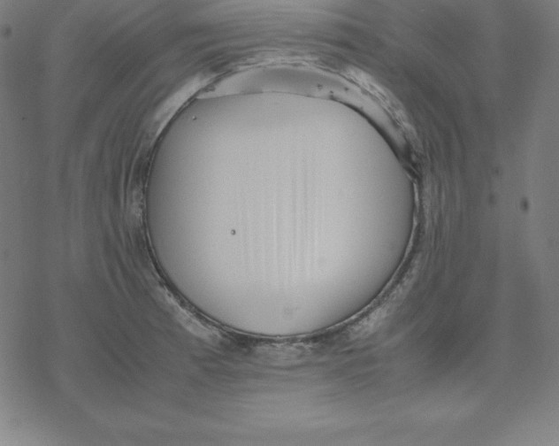 X0000077291185200611101335