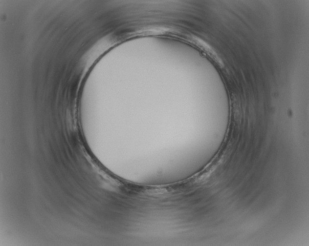 X0000077291186200611101335