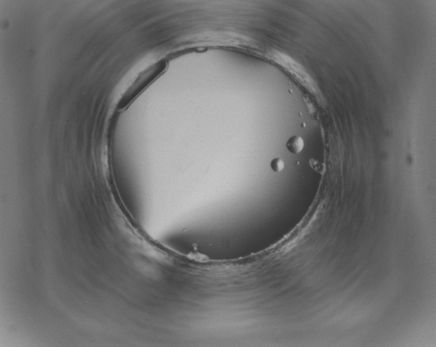 X0000077291188200611101335