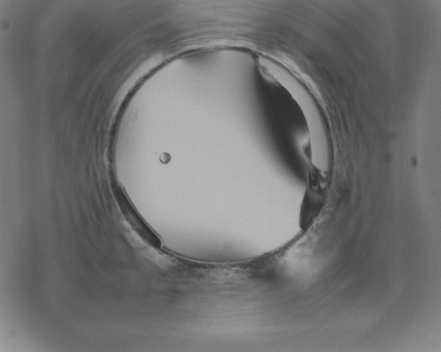 X0000077291189200611101335