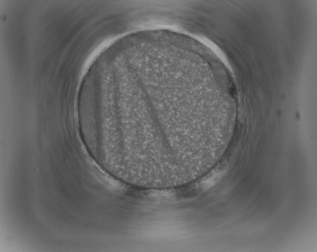 X0000077291191200611101335