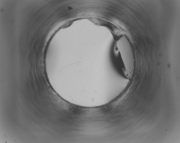 X0000077291192200611101335