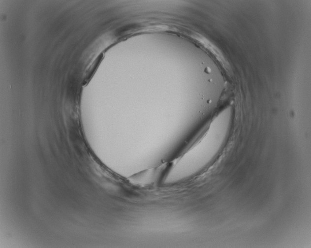 X0000077291193200611101335