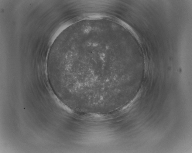 X0000077291194200611101335