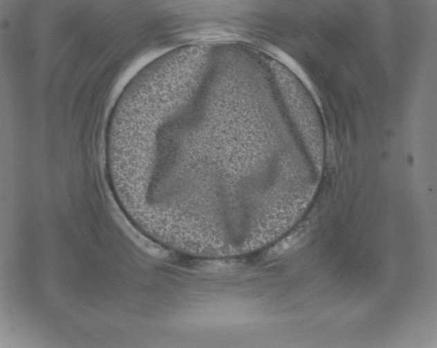 X0000077291195200611101335