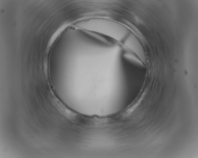 X0000077291196200611101335