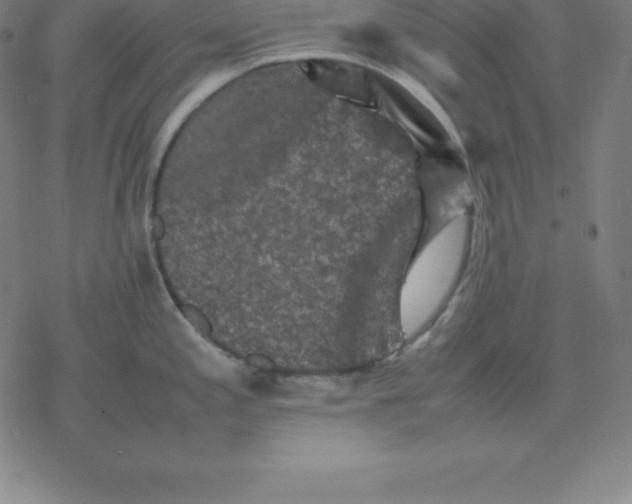 X0000077291197200611101335