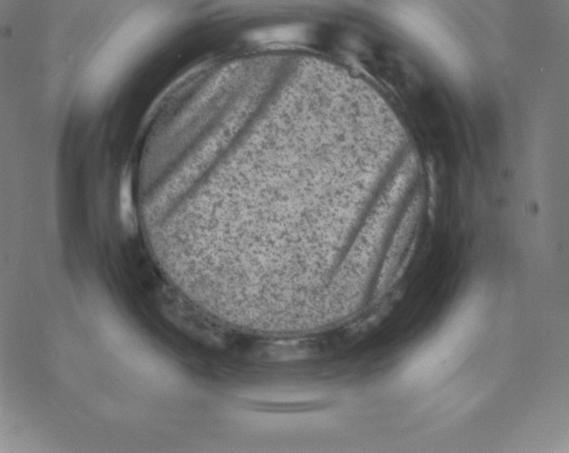 X0000077291198200611101335